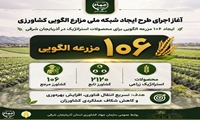 گام بلند در تحول کشاورزی آذربایجان‌شرقی؛ آغاز اجرای شبکه ملی مزارع الگویی